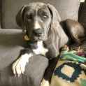Photo of Maxine