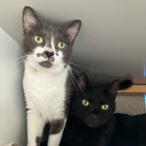 No photo for Charlie Brown And Edward