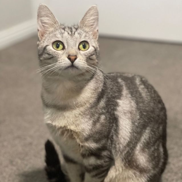 Photo of Ava😻❤️