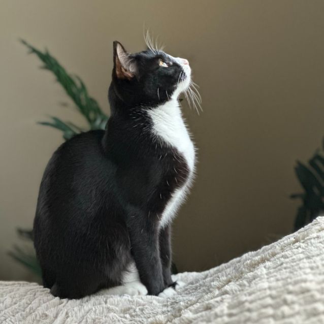 Photo of Minnie 🌷