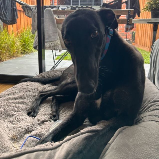 Photo of Maxey