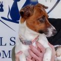 Photo of Roxy
