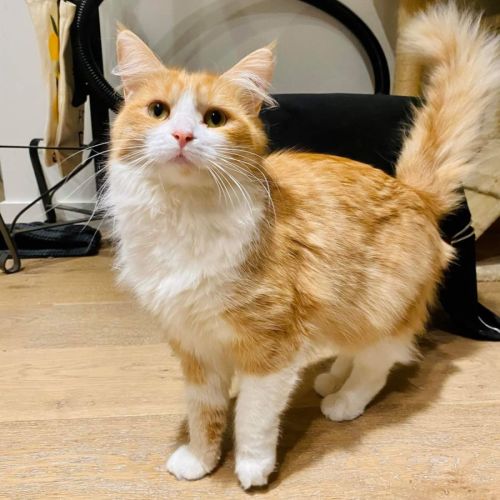 Sugar (Located in Docklands)