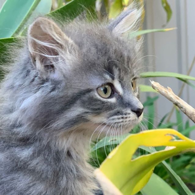 Photo of Millie💕💕💕