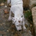 Photo of Sami