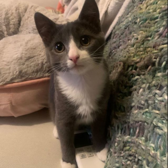 Photo of Marvelous Meredith