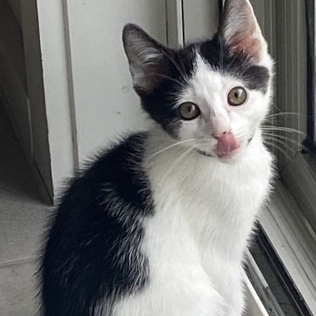 Photo of Pablo ❤️🐾