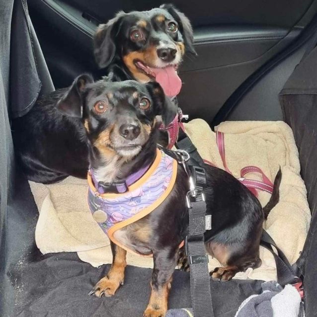 Photo of Maggie And Mitsi