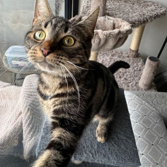 Photo of Lily And Layla