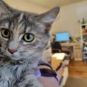 Photo of Mimi