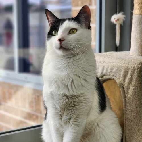 🎠 Clancy 5624 🎠