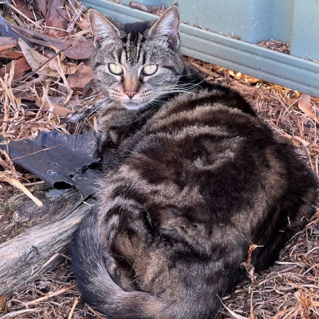 Photo of Molly