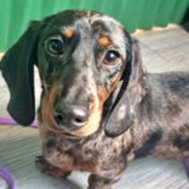 Photo of Nellie