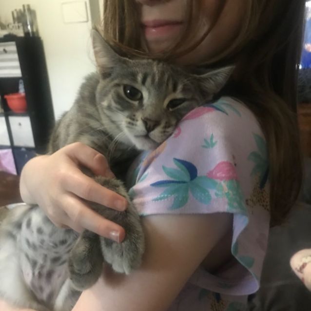 Photo of Poppy & Misty 