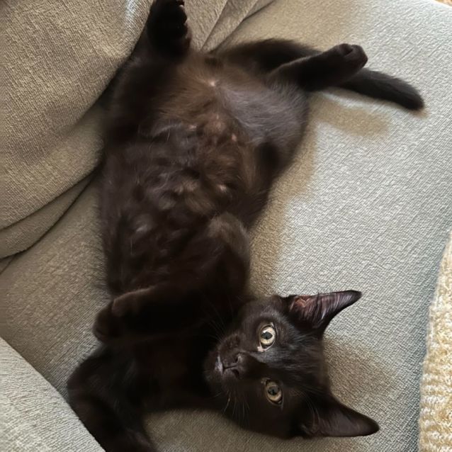 Photo of Chase & Foreman