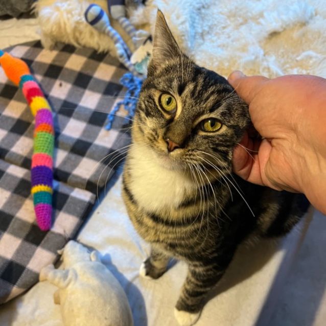 Photo of Chase   Can Deliver To You