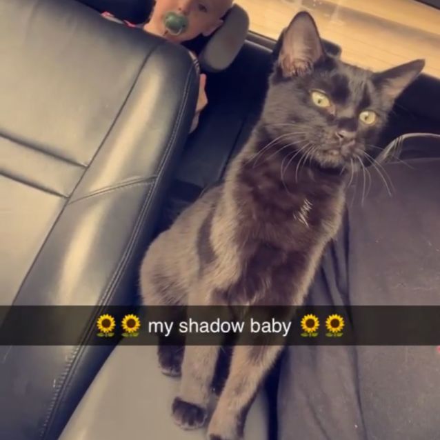 Photo of Salem 💘