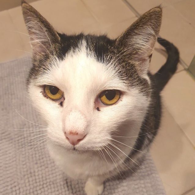 Photo of Walter And Jinx