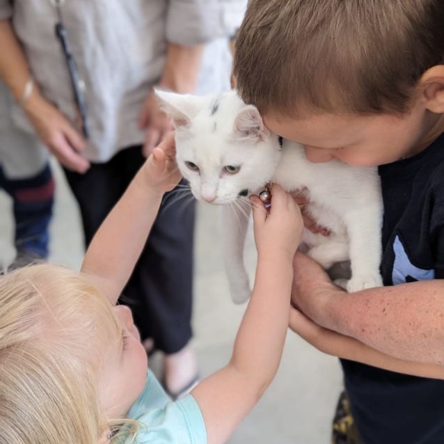 Photo of Adora & Aladdin