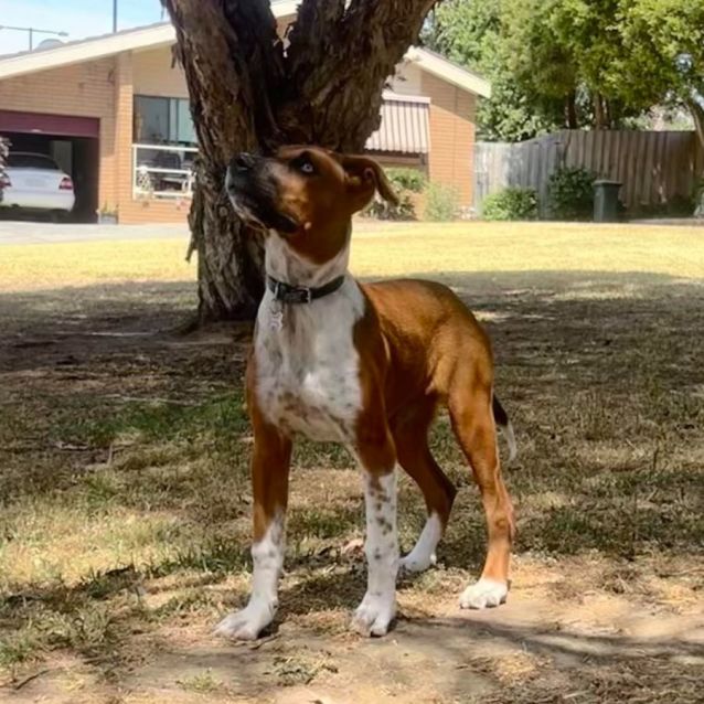Photo of Ivy