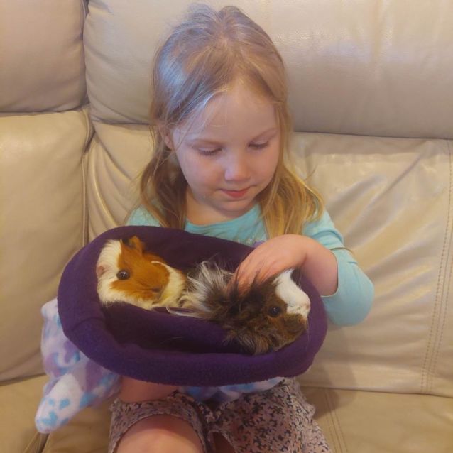 Photo of Charlotte & Webster (Located In Mount Evelyn)