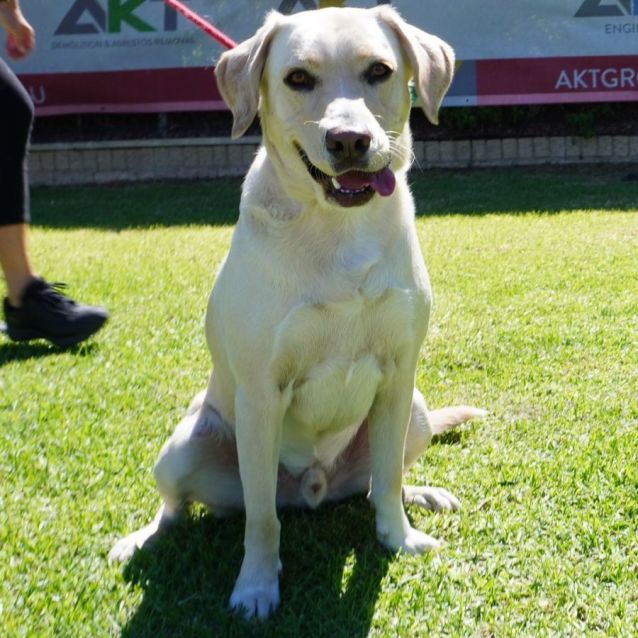 Photo of Jett