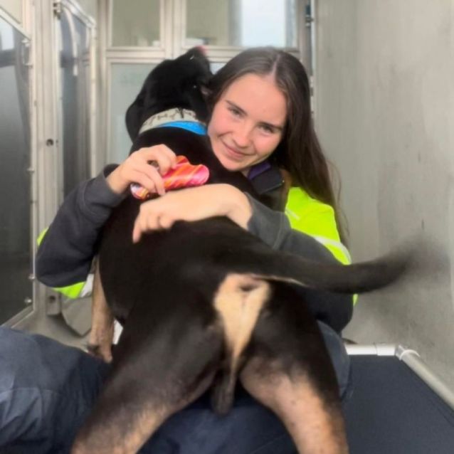 Photo of Zeus (Imp. 6)