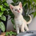 Photo of Melina