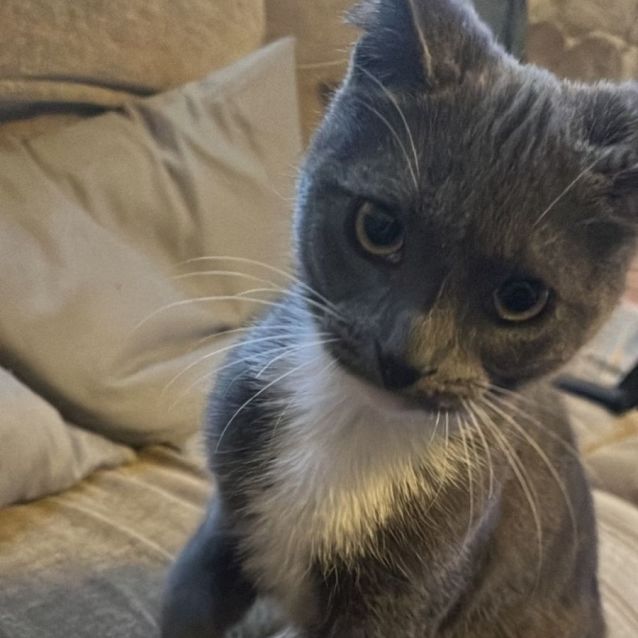 Photo of Max