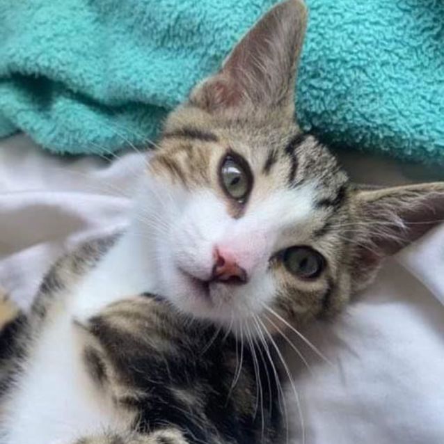 Photo of Hugo And Harriet