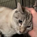 Photo of Jellybean
