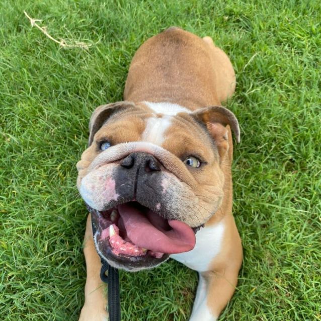 Photo of Gorgeous George