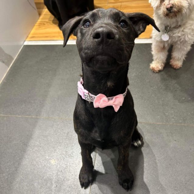 Photo of Trick 🤪🎃