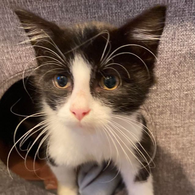 Photo of Murphy