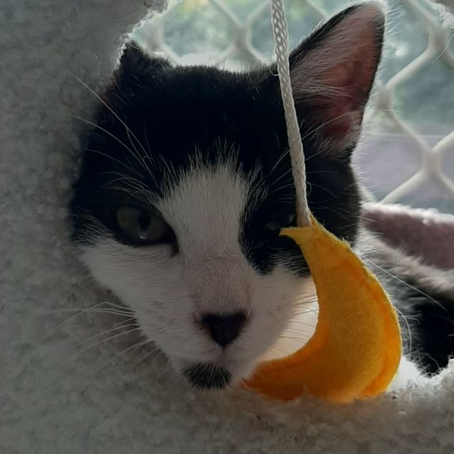 Photo of Mr Tips