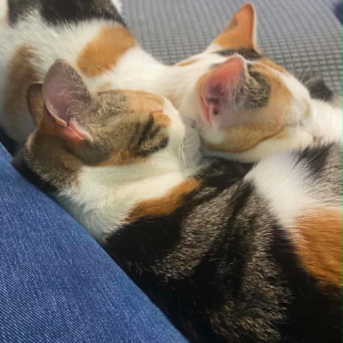 Missy & Baby 