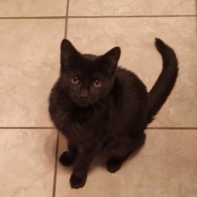 Photo of Felix