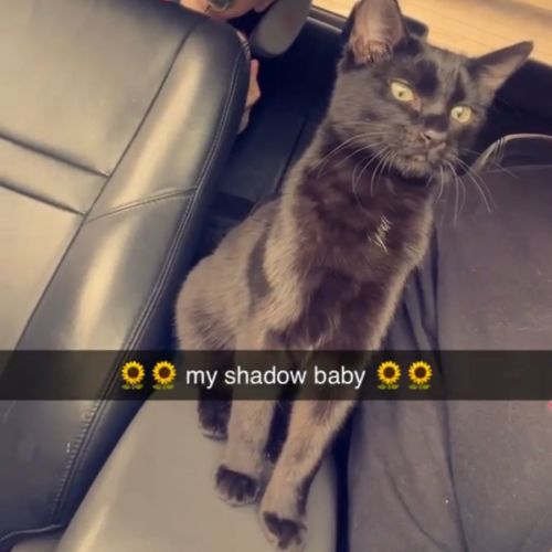 Salem
