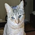 Photo of Sandy