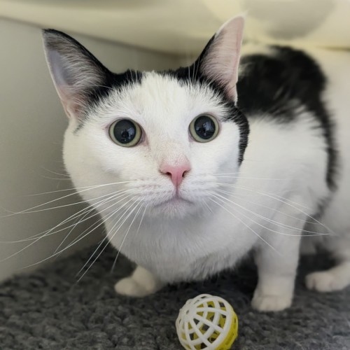 ☕ Lorraine (Lori) 5739 ☕