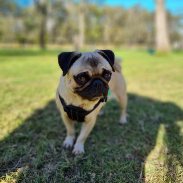 Photo of Abigail