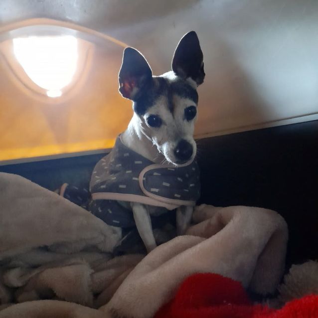 Photo of Mitzi