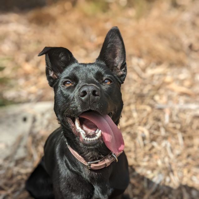 Photo of 🌀 River 5093 🌀