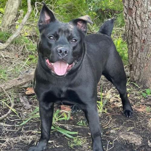 No photo for Spencer