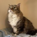 Photo of Willow