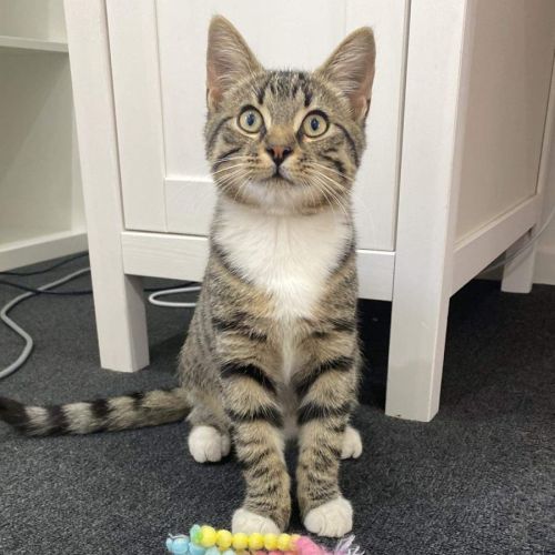 Terrance Trent Darby