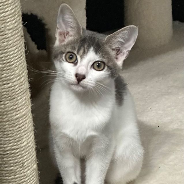 Photo of Holly 😻❤️😻