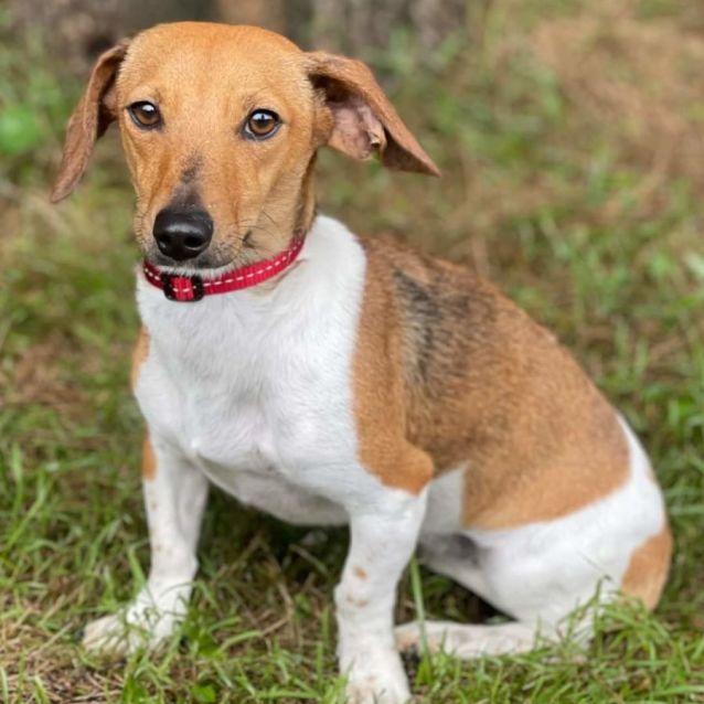 Photo of Alice & Belle