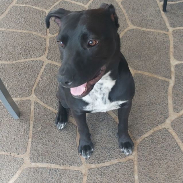 Photo of Lola