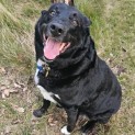 Photo of Cubby